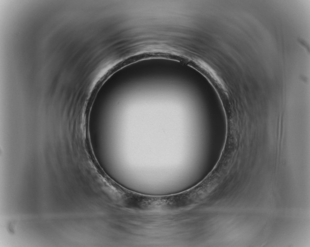 X0000095910791200801181354