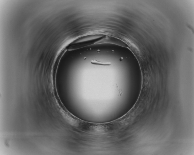 X0000095910792200801181354