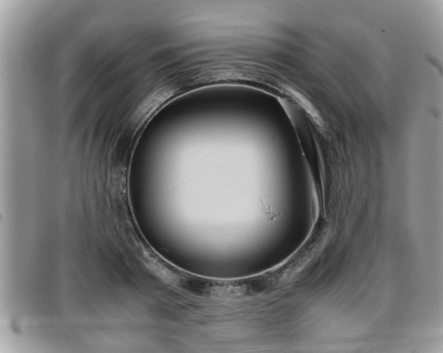 X0000095910793200801181354