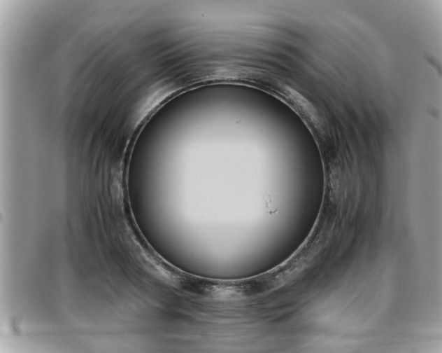 X0000095910794200801181354