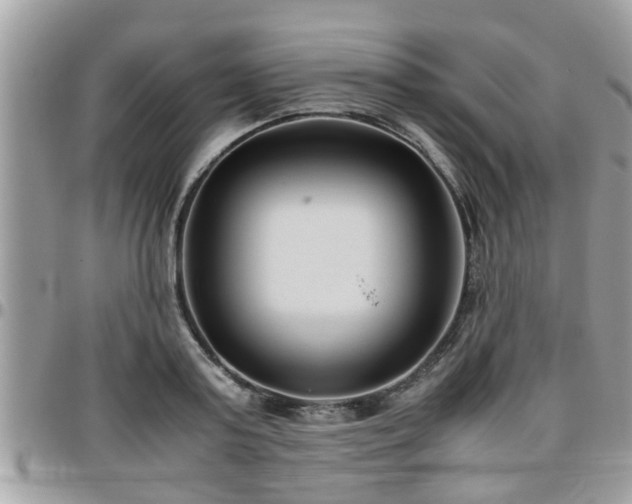 X0000095910795200801181354