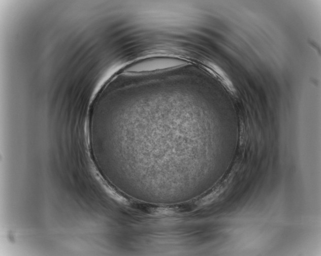 X0000095910796200801181354