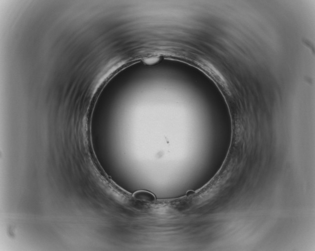 X0000095910798200801181354