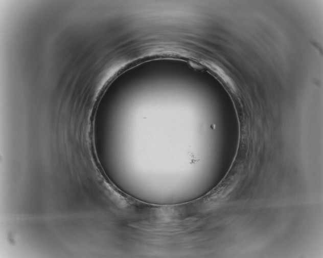 X0000095910799200801181354