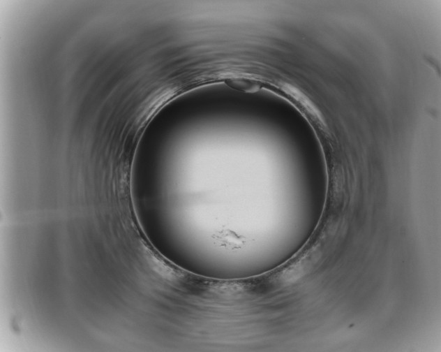 X0000095910801200801181354