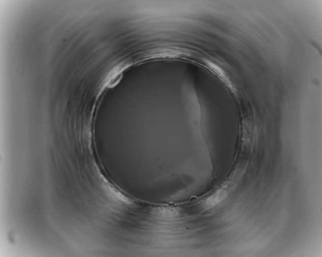 X0000095910802200801181354