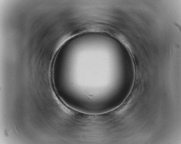 X0000095910803200801181354