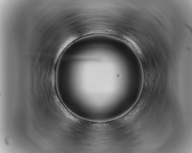 X0000095910804200801181354