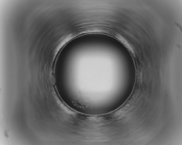 X0000095910805200801181354