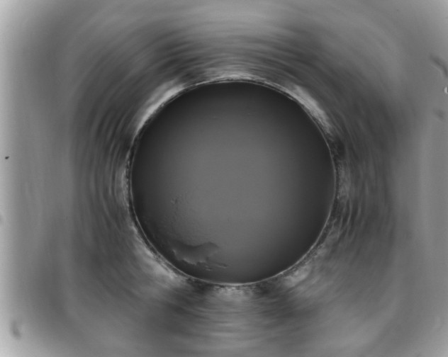 X0000095910806200801181354