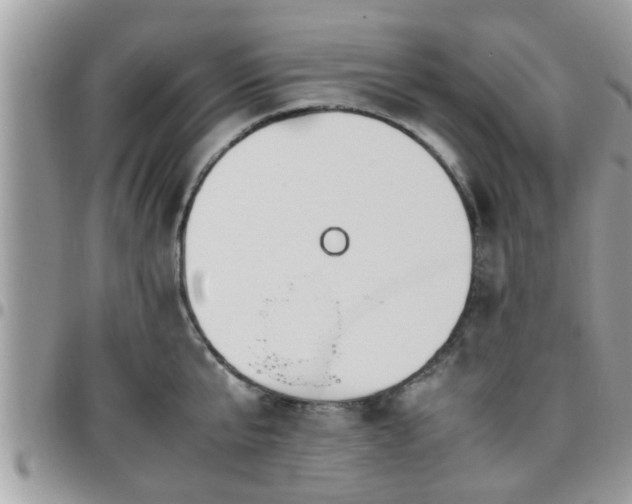 X0000095910807200801181354