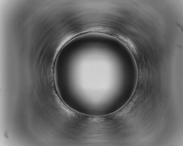 X0000095910808200801181354