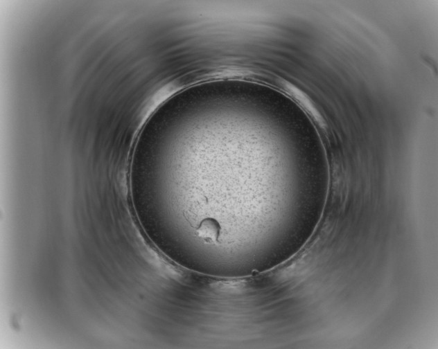 X0000095910810200801181354