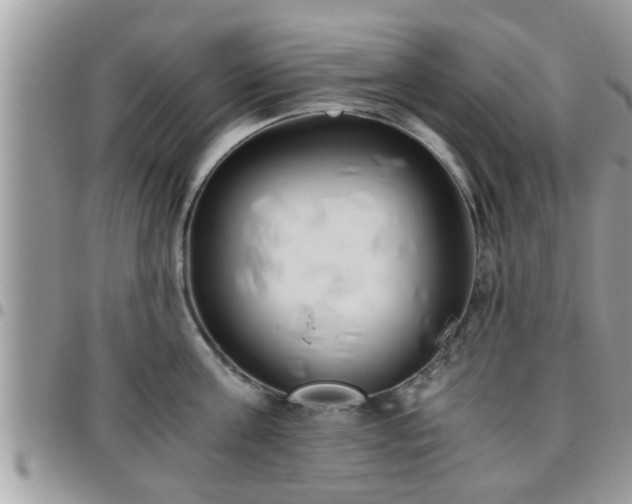 X0000095910811200801181354