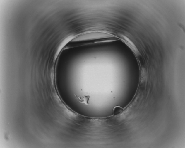 X0000095910812200801181354