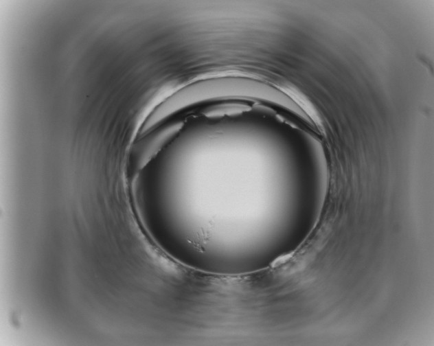 X0000095910813200801181354