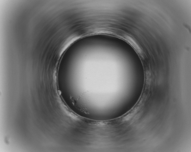 X0000095910814200801181354