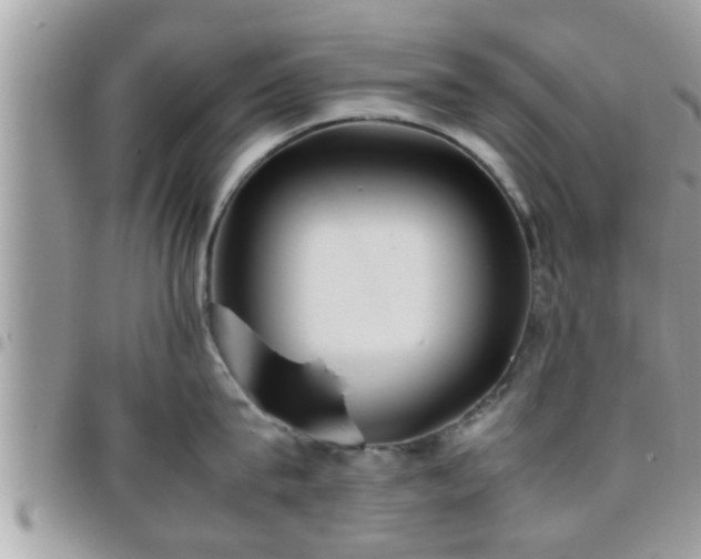 X0000095910815200801181354