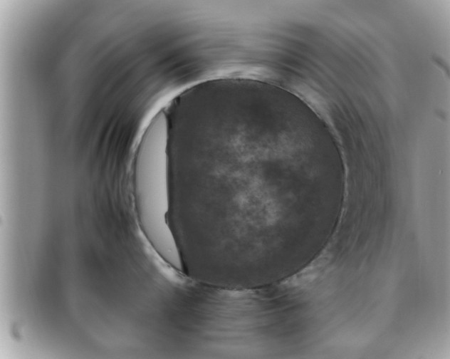 X0000095910816200801181354