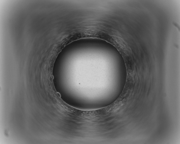 X0000095910817200801181353