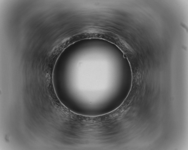 X0000095910821200801181353