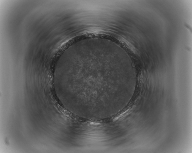 X0000095910822200801181354