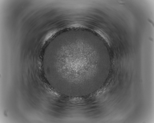 X0000095910823200801181354