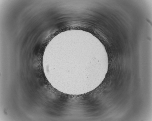 X0000095910824200801181354