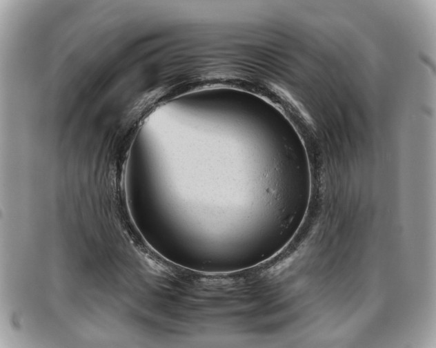 X0000095910825200801181354