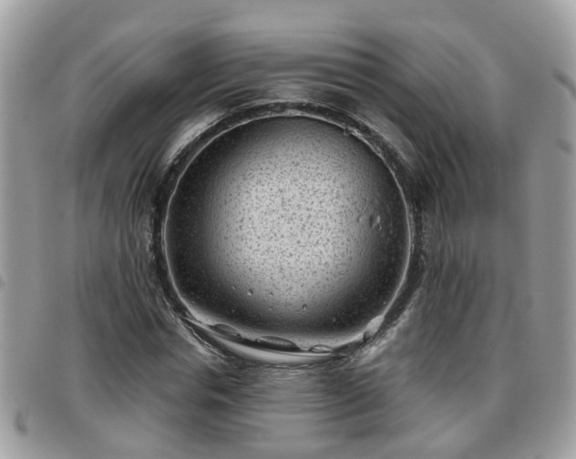 X0000095910826200801181354