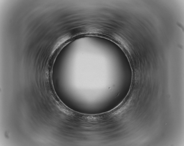 X0000095910827200801181354