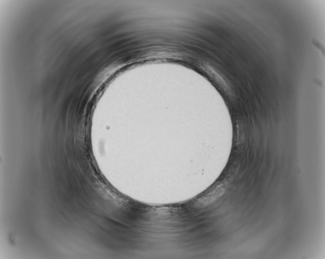 X0000095910828200801181354