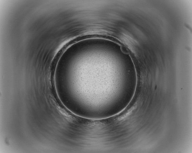 X0000095910830200801181354