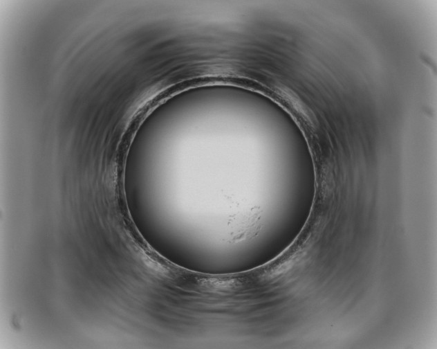 X0000095910831200801181354