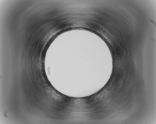 X0000095910832200801181354