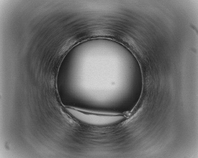 X0000095910833200801181354