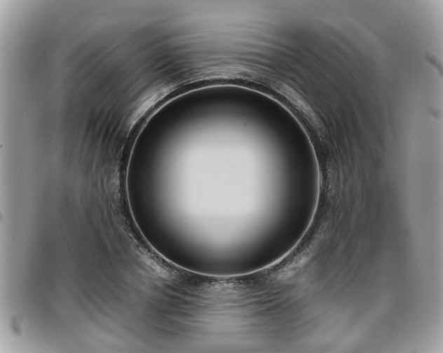 X0000095910834200801181354