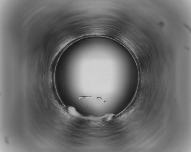 X0000095910835200801181354