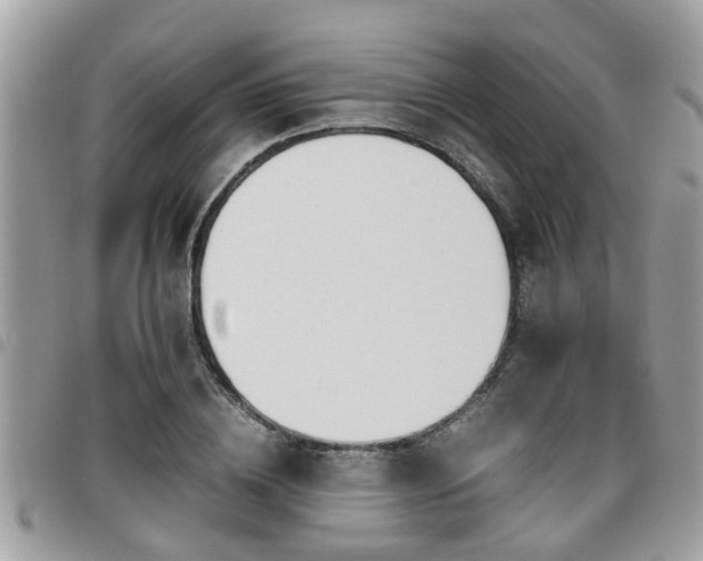 X0000095910836200801181354