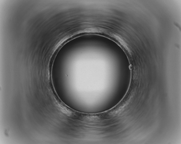 X0000095910837200801181354