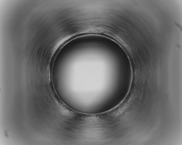 X0000095910838200801181354