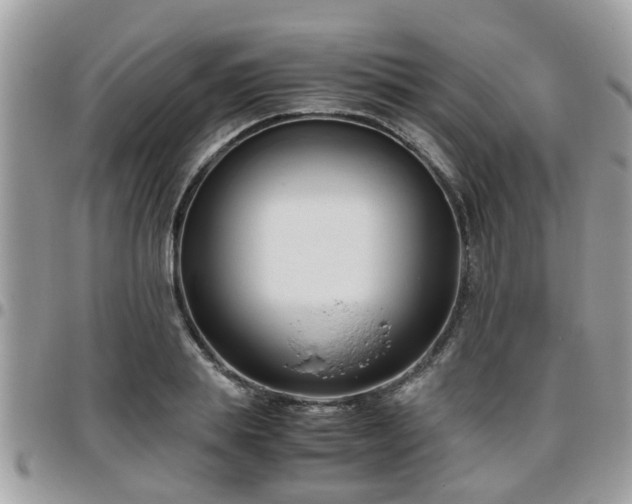 X0000095910839200801181354