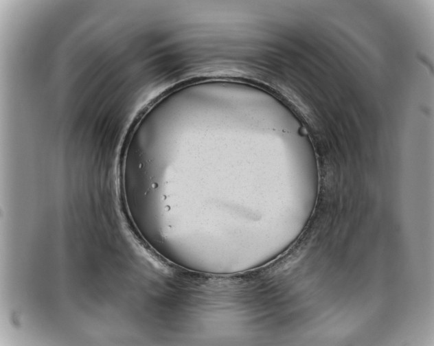 X0000095910840200801181354