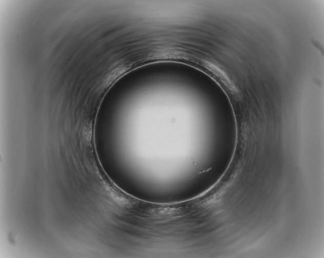 X0000095910841200801181354