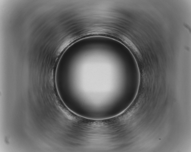 X0000095910842200801181354