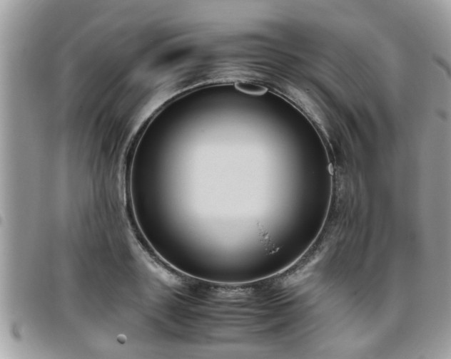 X0000095910843200801181354