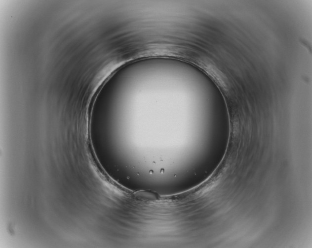 X0000095910844200801181354