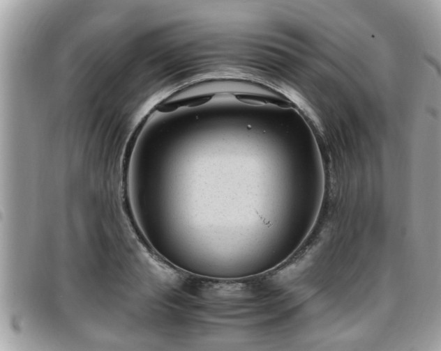 X0000095910845200801181354