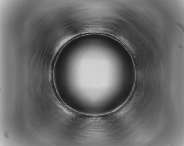 X0000095910846200801181354