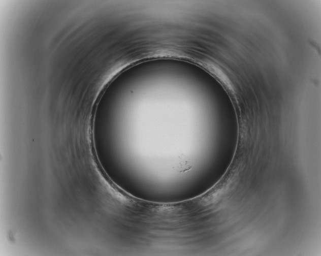 X0000095910847200801181354